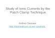 Study of Ionic Currents by the Patch Clamp Technique Andres Soosaar andress
