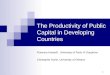 1 The Productivity of Public Capital in Developing Countries Florence Arestoff, University of Paris IX Dauphine Christophe Hurlin, University of Orleans