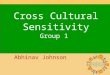 1 Cross Cultural Sensitivity Group 1 Abhinav Johnson