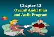 13 - 1 Chapter 13 Overall Audit Plan and Audit Program