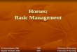 Horses: Basic Management Stephen R Schafer, EdD 2007 University of Wyoming D. Karen Hansen, PhD 2001 University of Wyoming D. Karen Hansen, PhD 2001 University