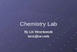 Chemistry Lab By Lin Wozniewski lwoz@iun.edu. Disclaimer This presentation was prepared using draft rules. There may be some changes in the final copy