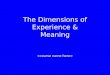 The Dimensions of Experience & Meaning. Why experiences?