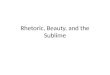 Rhetoric, Beauty, and the Sublime. Opening questions