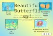 Beautiful Butterflies! Click on a picture to learn more about the subject. Click on the home button to return back to this page. Use the arrows to move