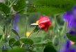 Love is not all by Edna St. Vincent Millay Love is not all: it is not meat nor drink Nor slumber nor a roof against the rain; Nor yet a floating spar