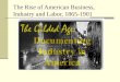 The Rise of American Business, Industry and Labor, 1865-1901