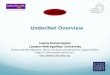 UndocNet Overview Leena Kumarappan London Metropolitan University Undocumented Migrants, Ethnic Enclaves and Networks: Opportunities, traps or class-based