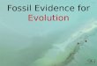 Fossil Evidence for Evolution. Fossil: any preserved trace left by an organism -E.g. footprints, burrows, faeces, bones shells, teeth, impressions of
