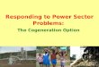 Responding to Power Sector Problems: The Cogeneration Option
