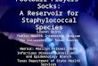 Football Players Socks: A Reservoir for Staphylococcal Species Lauren Quinn Public Health Internship Program The University of Texas Austin Mentor: Marilyn