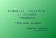 Technical Institute L. Einaudi Manduria. With green eyes The way we help keep clean our town