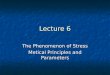 Lecture 6 The Phenomenon of Stress Metical Principles and Parameters