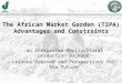 The African Market Garden (TIPA) Advantages and Constraints an Integrated Horticultural production package Lessons learned and Perspectives for the Future