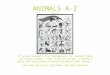 ANIMALS A-Z BOOK #4 9 th grade students from Massapequa, NY created books all about animals. They chose an animal, created a print and researched information