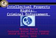 Intellectual Property Rights: Criminal Enforcement Matthew Devlin Assistant United States Attorney United States Attorneys Office Austin, Texas