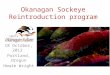 Okanagan Sockeye Reintroduction program 18 October, 2012 Portland, Oregon Howie Wright