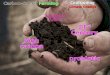 AN INTRODUCTION Global Warming Sequester Carbon Regenerate Soil Nutrient-Dense Food Produce Biofuels Unstable Economics Biological Degeneration Fossil