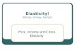 Elasticity! Boingy, boingy, boingy! Price, Income and Cross Elasticity
