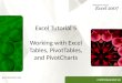 COMPREHENSIVE Excel Tutorial 5 Working with Excel Tables, PivotTables, and PivotCharts