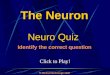Click to Play! Neuro Quiz Michael McKeough 2008 Identify the correct question The Neuron