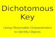 Dichotomous Key Using Observable Characteristics to Identify Objects