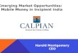 Emerging Market Opportunities: Mobile Money in Incipient India Harold Montgomery CEO