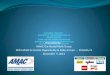 Presented By: AMAC/Car Rental Work Group 2013 AMAC Economic Opportunity & Policy Forum – Orlando, FL December 9, 2013