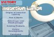 Origins of Induction Lighting * How It Works * Advantages and Disadvantages * Existing Products * Victory Developments * Conclusion