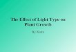 The Effect of Light Type on Plant Growth By Katra