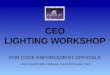 CEO LIGHTING WORKSHOP FOR CODE ENFORCEMENT OFFICIALS AND OTHERS WITH SIMILAR JOB RESPONSIBILITIES
