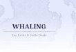 Ena Koide & Stella Ozaki. To what extent is whaling acceptable in the Japaneses society?