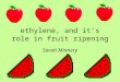 Ethylene, and its role in fruit ripening Sarah Minnery