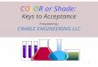 COLOR or Shade: Keys to Acceptance Presented by: CRABLE ENGINEERING LLC 1