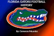 FLORIDA GATORS FOOTBALL HISTORY By: Cameron Palumbo