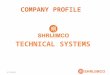BY PS 06/06/2013 COMPANY PROFILE TECHNICAL SYSTEMS