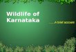 Wildlife of Karnataka ……A brief account. St.Josephs college (Autonomous) Lalbagh road,Bangalore PÀ£ÀßqÀ E£ÉÆá«ÄÃrAiÀÄ