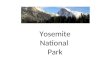 Yosemite National Park. Location Yosemite National Park lies in the central Sierra Nevada Mountains. It is about 150 miles east of San Francisco
