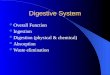Digestive System Overall Function Ingestion Digestion (physical & chemical) Absorption Waste elimination