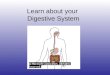 Learn about your Digestive System. The Digestive System Feeding is the process of introducing foodstuffs into your body. Nutrition is the transformation