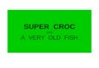 SUPER CROC and A VERY OLD FISH. VOCABULARY ancient very old existed in the past