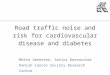 Road traffic noise and risk for cardiovascular disease and diabetes Mette Sørensen, Senior Researcher Danish Cancer Society Research Centre