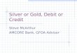 Silver or Gold, Debit or Credit Steve McArthur AMCORE Bank, GFOA Advisor