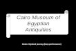 Cairo Museum of Egyptian Antiquities Music: Mystical journey (harp performance)