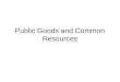 Public Goods and Common Resources. Characterizations of Goods, Services or Resources Excludability: Excludable when it is possible to prevent a person