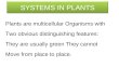 SYSTEMS IN PLANTS Plants are multicellular Organisms with Two obvious distinguishing features: They are usually green They cannot Move from place to place