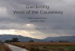 Gardening West of the Causeway Gardening West of the Causeway With Lois Richter and Don Shor