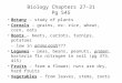 Biology Chapters 27-31 Pg 545 Botany – study of plants Cereals – grains, ex: rice, wheat, corn, oats Roots – beets, carrots, turnips, potatoes - low in