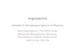 Angiosperms (estimated 257,400 angiosperm species in 13,678 genera) Basal Angiosperms: The ANITA Grade (Amborella, Nymphaeales, Illiciaceae, Trimeniaceae