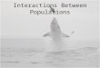 Interactions Between Populations. Traditional approaches to population interactions have been to consider just the direct pairwise interactions This is